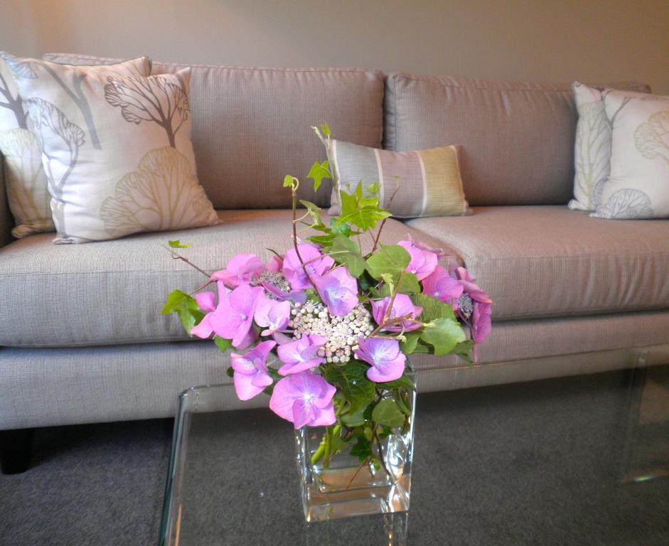 Firth Street Mews B&B Matamata Luaran gambar