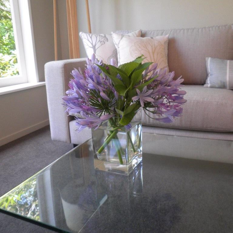 Firth Street Mews B&B Matamata Luaran gambar