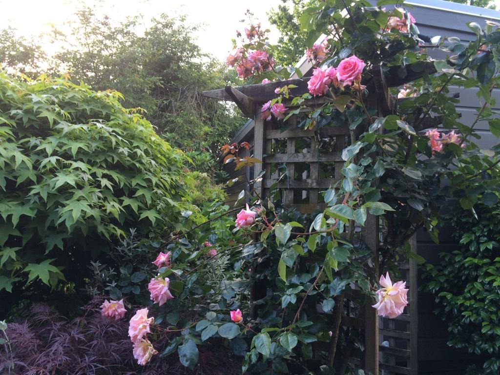 Firth Street Mews B&B Matamata Luaran gambar